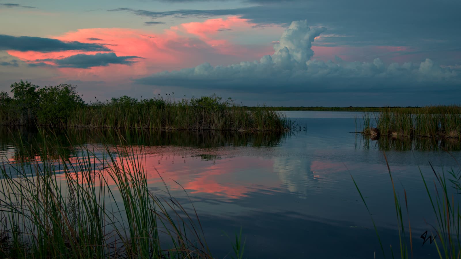 Cloud looks like a submarine in the pink swamp sky and reflects in the calm water near dusk.